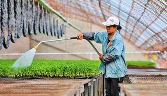 农业节水 政策聚焦水价改革 多点开花